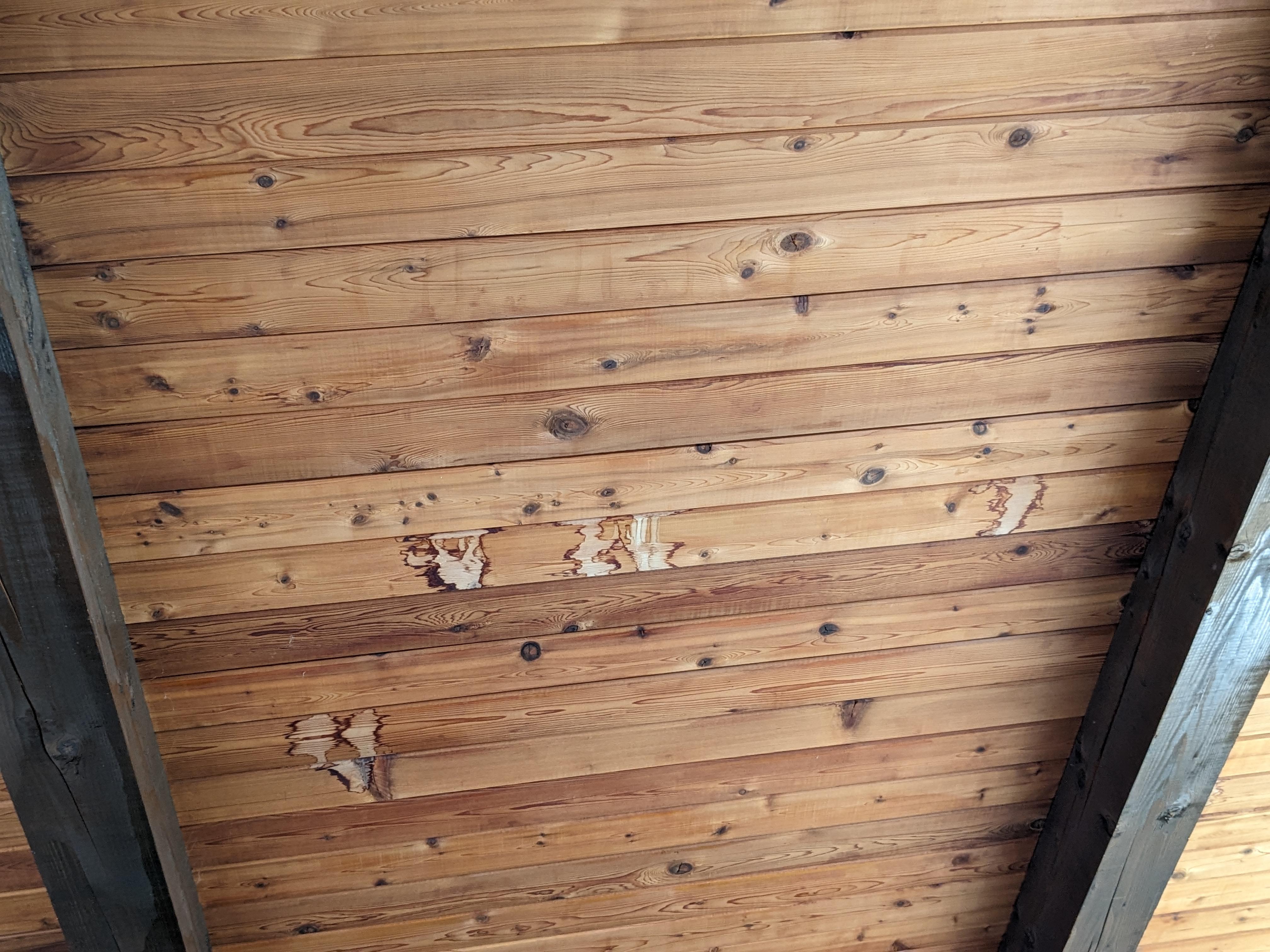 leaking shiplap ceiling GOOD ROOF WORX